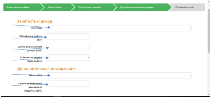  МФК Займ Экспресс – занятость и доход 