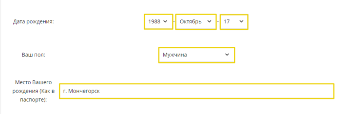  МКК Z400 (Лот финанс) - дата рождения, пол, место рождения 