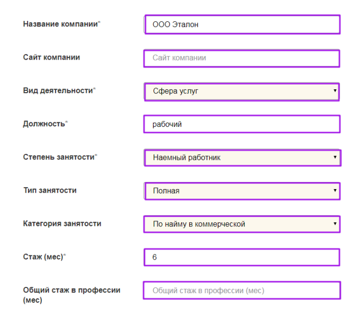 МКК Блиц займ - стаж в профессии, работа