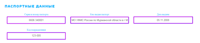 МКК ВикПэй Экспресс - паспортные данные