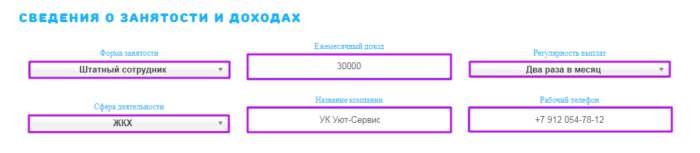 МКК ВикПэй Экспресс - сведения о занятости и доходах