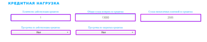 МКК ВикПэй Экспресс - кредитная нагрузка