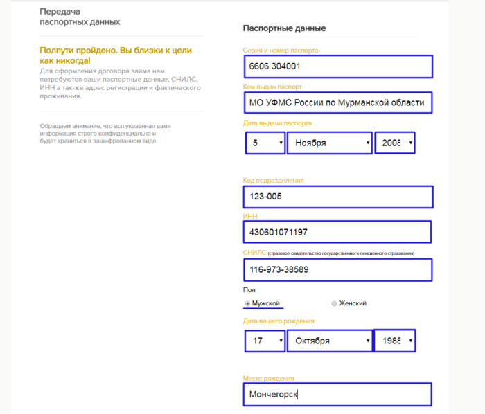 Минифинанс - паспортные данные