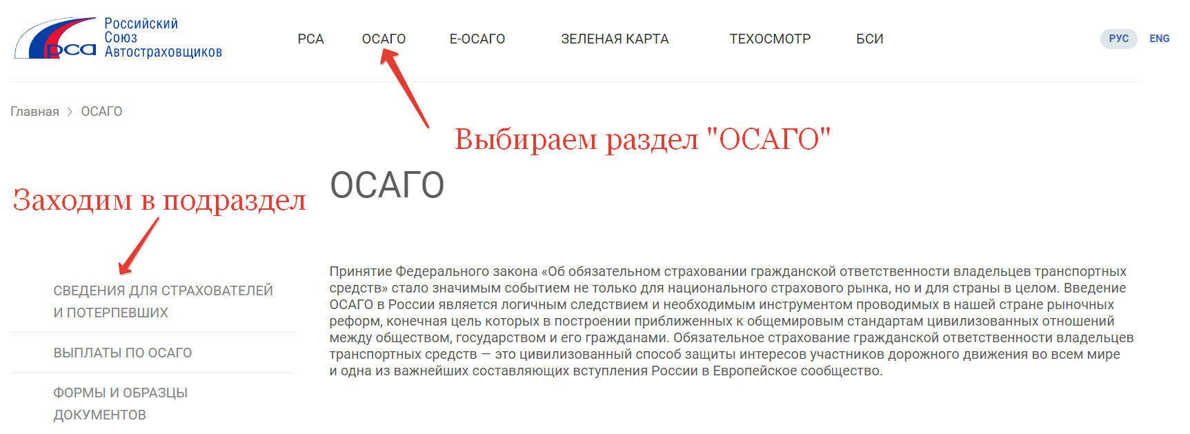 proverit-polis-osago