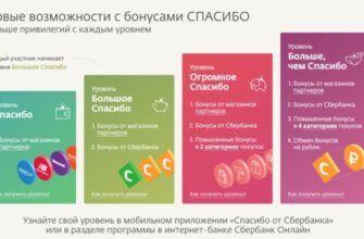 Спасибо от Сбербанка: что это такое, как происходит начисление бонусов и на что их можно потратить
