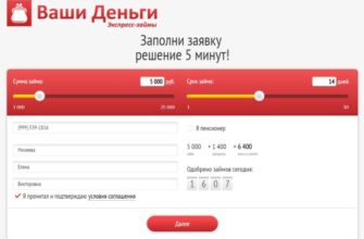 МФО Ваши Деньги — обзор личного кабинета. Регистрация, вход, оформление заявки